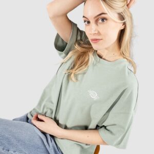 Dickies Summerdale T-Shirt iceberg green