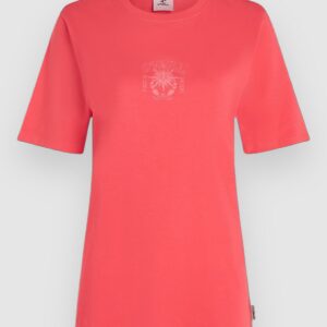 O'Neill Summer Musthaves Graphic T-Shirt froly