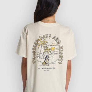 Billabong Welcome To Hawai T-Shirt salt crystal