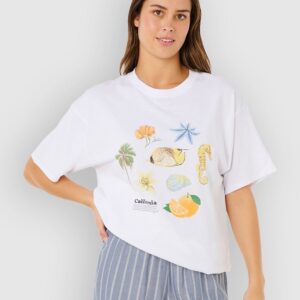 Rip Curl Poolside Heritage T-Shirt optical white